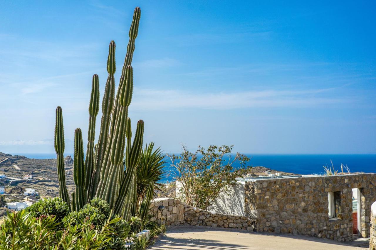 Oniropetra Apartments Mykonos Plintri Exterior foto